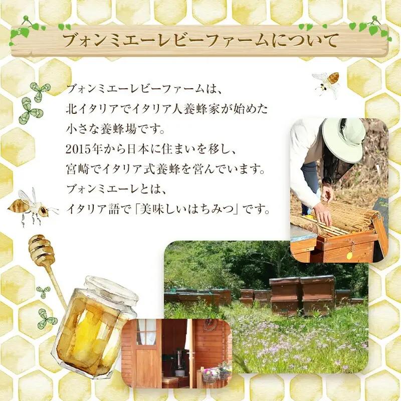 【最速便】【数量・期間限定】宮崎産非加熱ハチミツ(南国青島シリーズ)2～3種 ブォンミエーレ春のハチミツ160g×3本セット 国産 ハチミツ 蜂蜜 はちみつ 非加熱 3本 セット 詰め合わせ 非加熱はちみつ 非加熱処理 食べ比べ 味比べ ギフト 瓶 調味料 パン トースト グルメ お取り寄せ