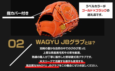 宮崎県産牛革使用 WAGYU JB 硬式用 グラブ 投手用 JB-001T(オレンジ/右投げ用)