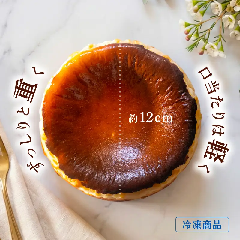 バスクチーズケーキ 1個 ケーキ | 高知県宿毛市 | ふるさと納税サイト