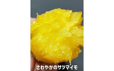 【予約受付中・2026年10月頃より順次発送】さわやかのサツマイモと鳴門金時の食べ比べセット　3kg