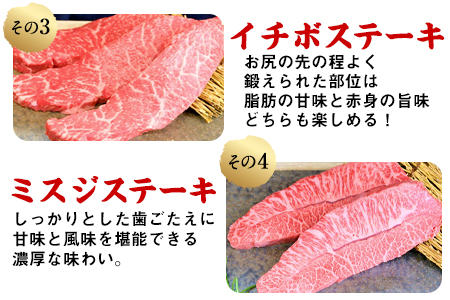 4種のステーキセット 1kg超 熊本あか牛 赤牛 ランプ イチボ ミスジ ロース 《60日以内に出荷予定(土日祝除く)》 st-p