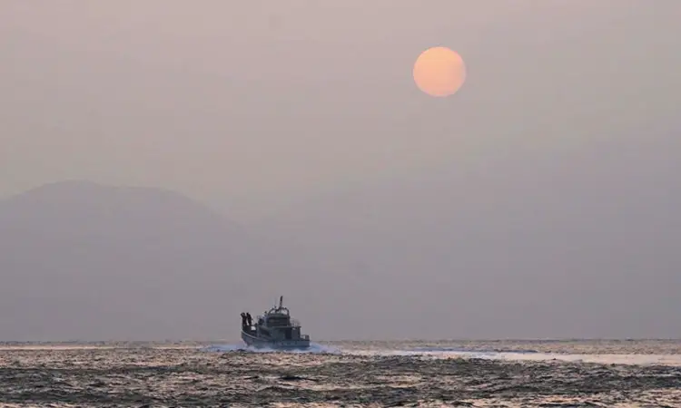 渡船 乗船券 [しば渡船] 愛南町 磯 渡し 釣り場 人気 釣り 釣り ポイント釣り 西海 スポーツ 南部 沖磯 ヤッカン アブセ 本バエ 大物 ハマチ グレ メジナ 石鯛