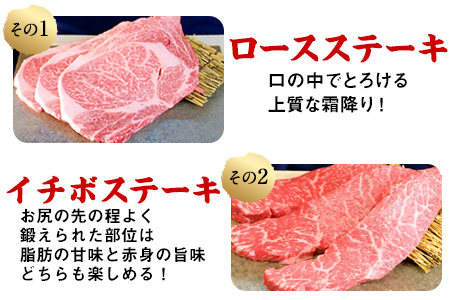 2種のステーキ＆ハンバーグセット 1kg超 赤牛 イチボステーキ ロースステーキ あか牛ハンバーグ 《60日以内に出荷予定(土日祝除く)》 st-p