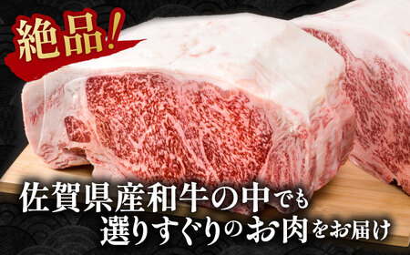 佐賀県産 黒毛和牛 サーロインステーキ 500g ステーキ [IAG016]