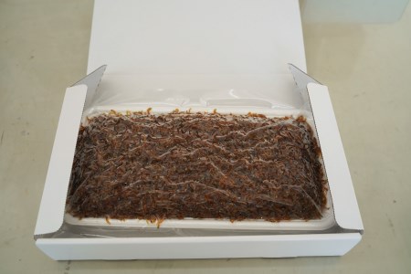【へきなん優良みやげ推奨品】しらす屋の佃煮 生炊きしらす 500g H006-076