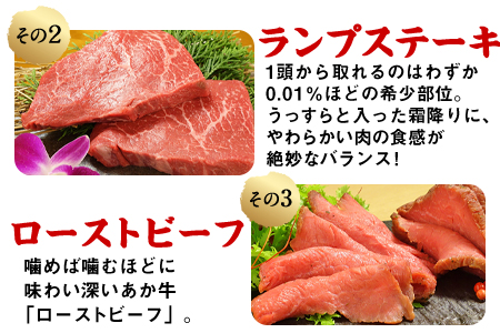 2種のステーキ&ローストビーフセット 1kg超 赤牛 ランプ 《60日以内に出荷予定(土日祝除く)》 st-p