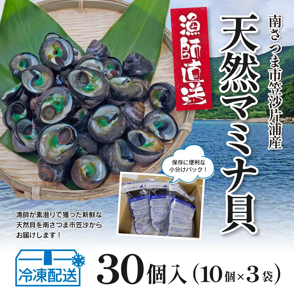 【素潜り漁師直送】【袋に入った冷凍のままでレンジ対応】【南さつま市 笠沙産 天然マミナ貝】シッタカ クボガイ 海産物 魚介類 鹿児島県 南さつま市 隆康産業