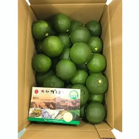 【9月発送】香りさわやか「大分かぼす」(2kg)_果物・フルーツ  柑橘 _【1086189】