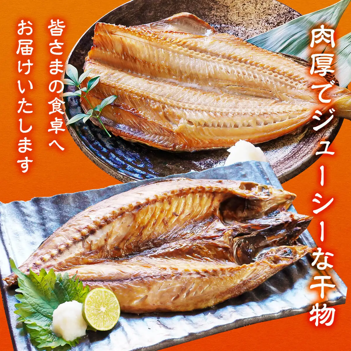 干物 おまかせ詰め合わせセット 3.5kg以上 真ホッケ 縞ホッケ サバ 干物