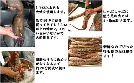 明石ダコのたこしゃぶ 3人前 魚貝類 タコ 加工食品 