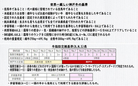 神戸牛の赤ワイン煮込み 4個【木箱入り】 肉の加工品 加工食品 