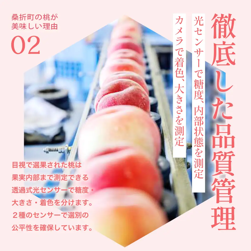 もも【まどか・2026年産】特秀　3kg　桑折町産　JAふくしま未来　桃　献上桃の郷　【07301-0097】
