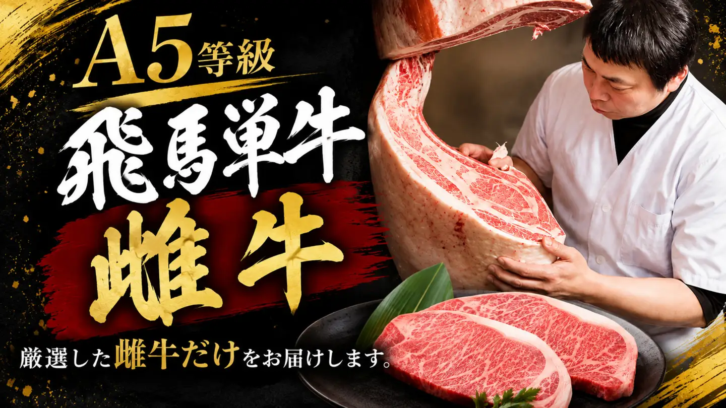 店主こだわり雌牛 飛騨牛A5等級　ロース　すき焼き用　約500g [No.040]
