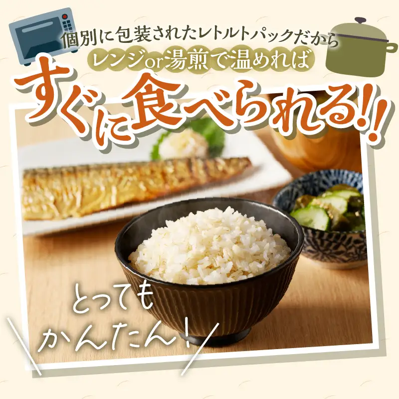3カ月連続お届け【ごはんで腸活】もち麦ごはんレトルト48パック