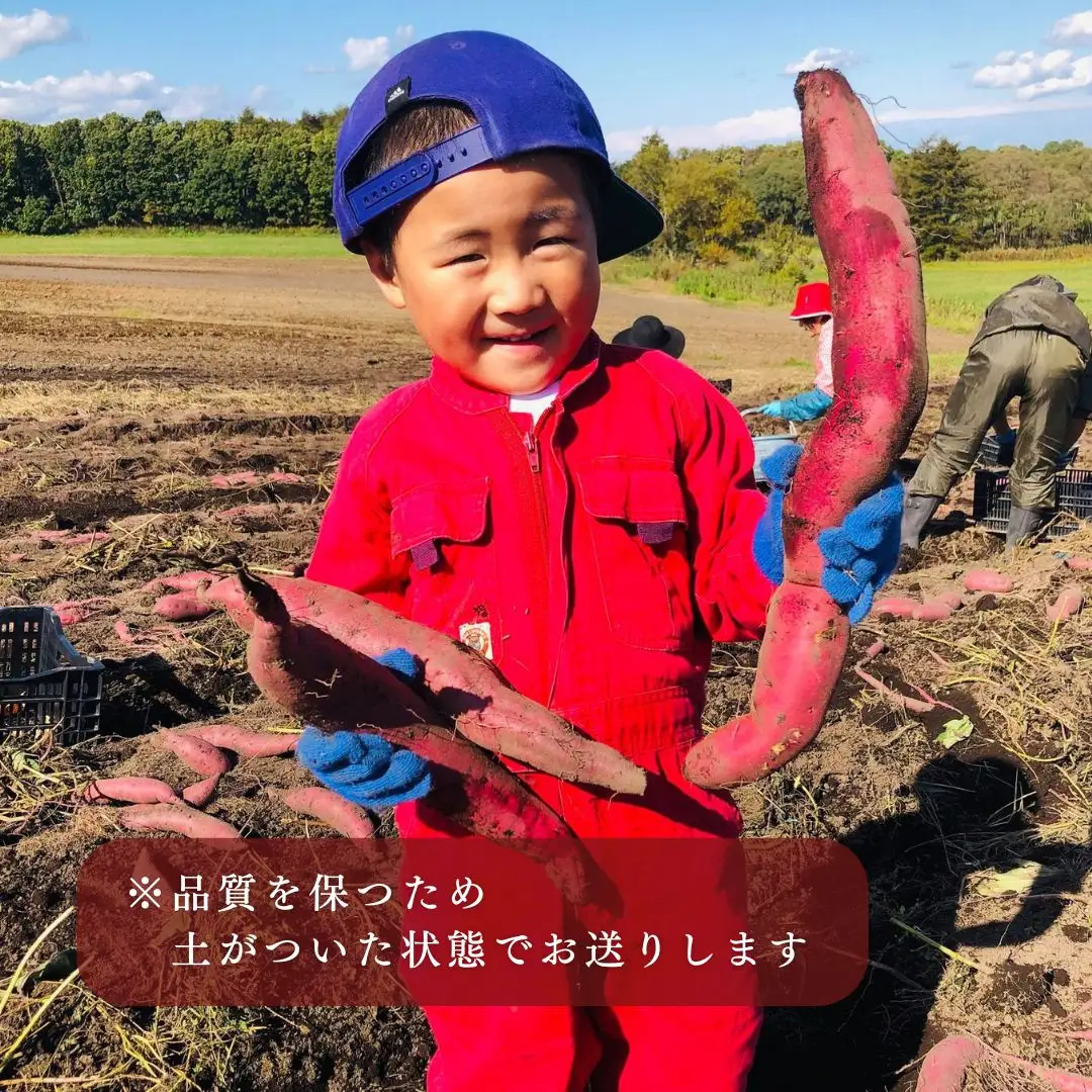 蜜がしたたる北海道産さつまいも「紅はるか」6kg