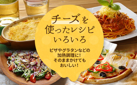シュレッドチーズ＆キャンディーチーズセット(1) (超極細 1mm ナチュラルシュレッドチーズ＆キャンディチーズ)｜[3386]