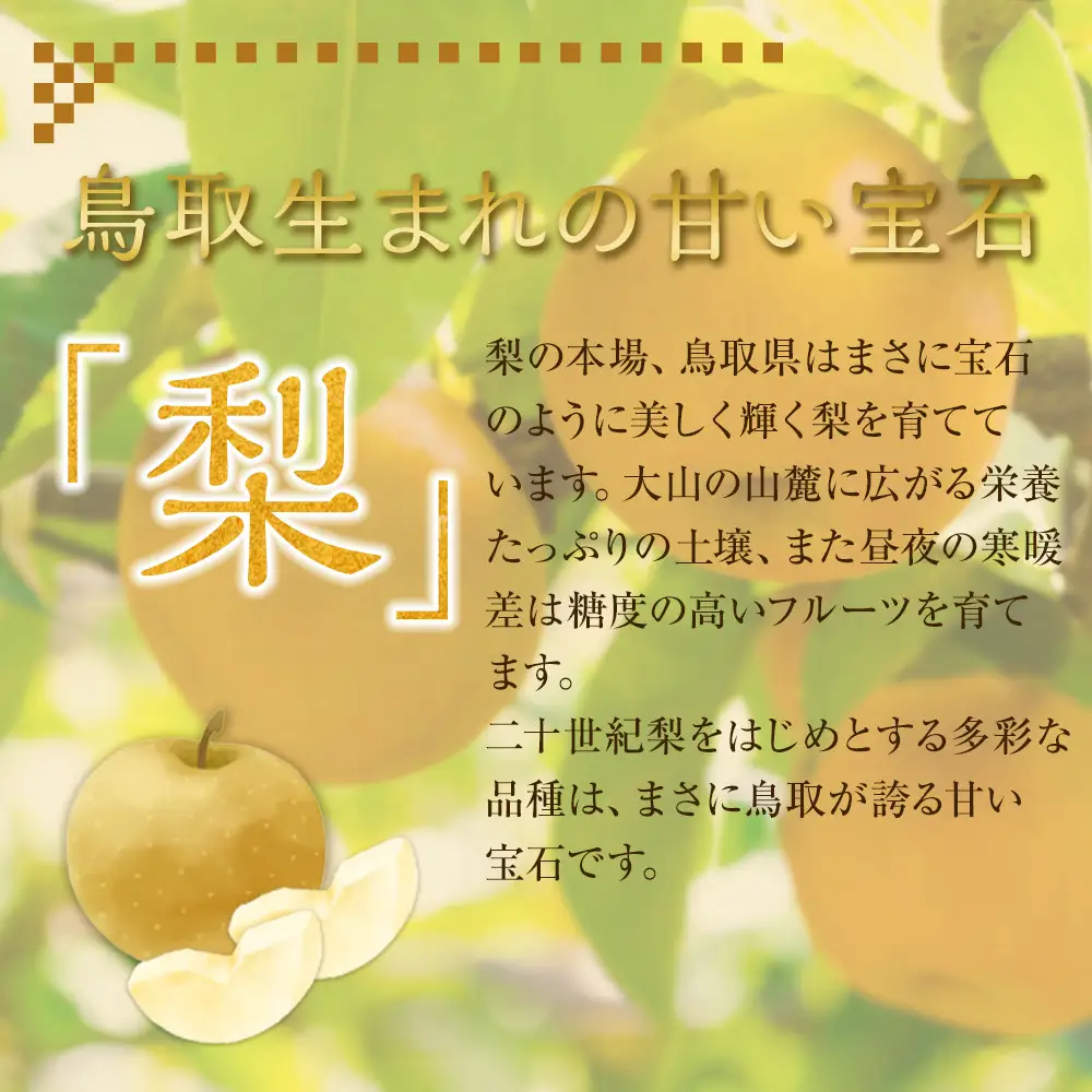 王秋梨 秀 約 4kg 4～13玉 前後 先行予約 ※2026年10月下旬～12月上旬頃に順次発送予定 梨