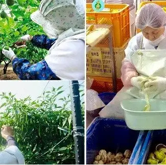 新感覚辛味調味料「かぼすこ」(4本セット) | かぼす