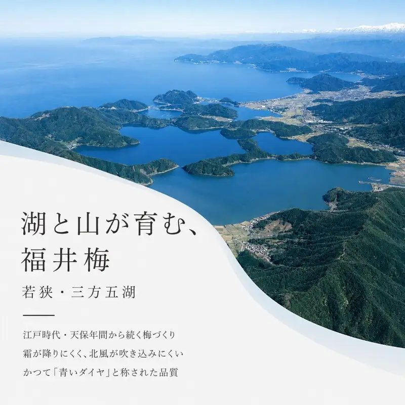 しそ漬福梅ぼし約650g[高島屋選定品］ 梅干し 