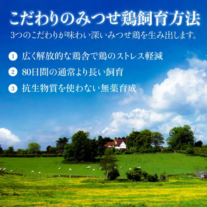 【鶏料理専門店で１番人気】佐賀県産 みつせ鶏つくね30個セット / つくね つみれ 肉団子 つくね[FCI010]