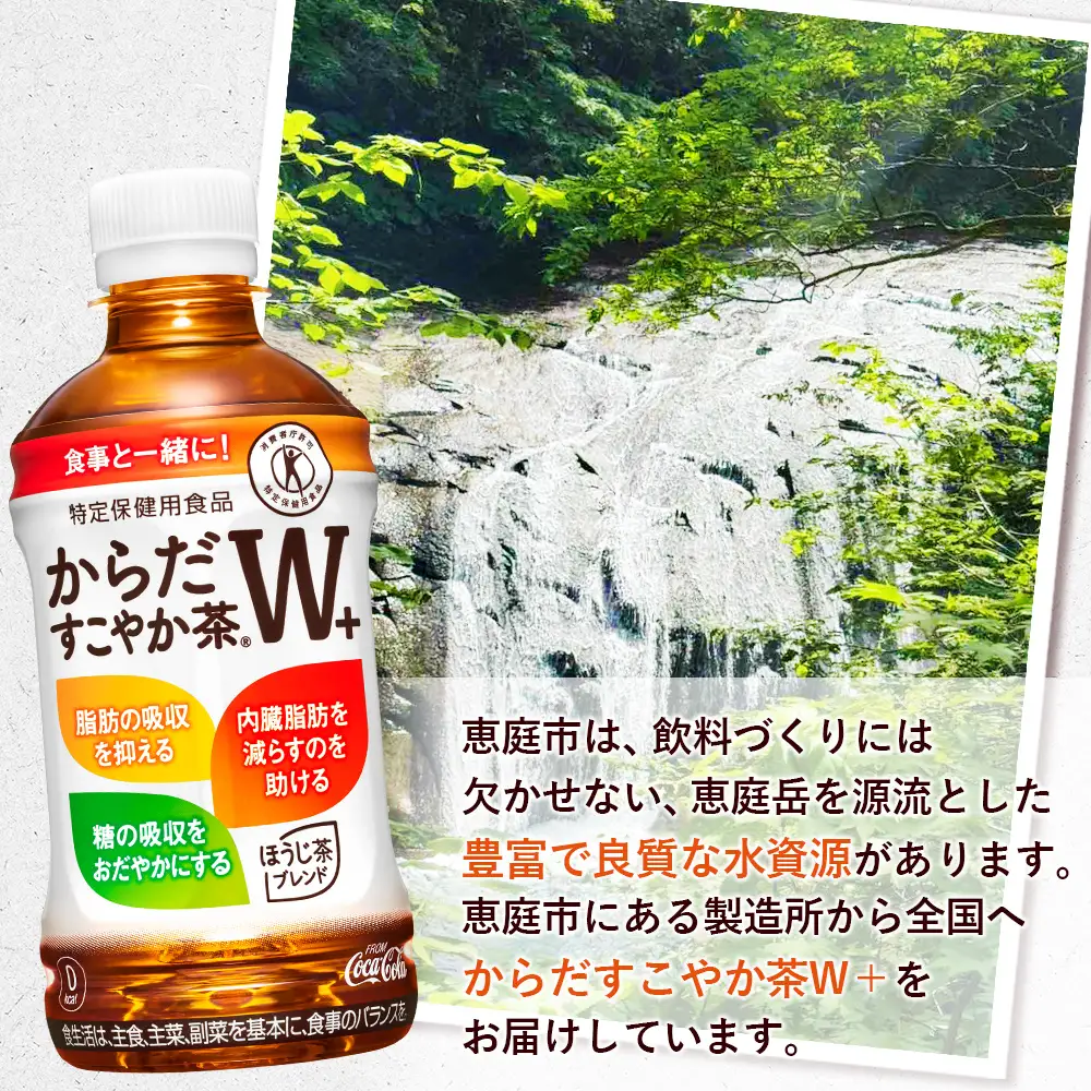 からだすこやか茶W＋ 350mlPET×24本【38003103】