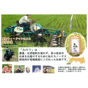 令和5年産 ノータス研究所 みのり 玄米10kg【栽培中 農薬・化学肥料不使用】