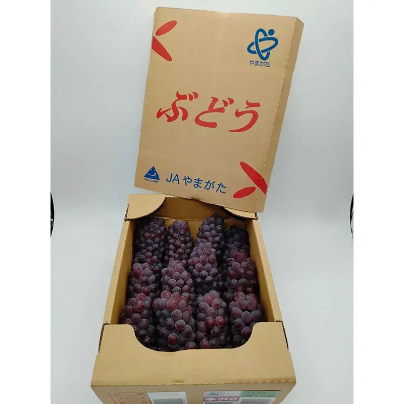 【2027年先行予約】 デラウェア 2kg 8~20房 FSY-0504