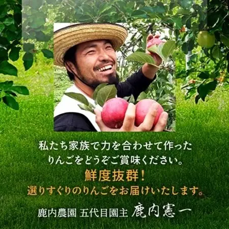 【甘くてみずみずしい】 りんご 葉取らずふじ 蜜入判定 約3kg (約9～12個) 青森市 産地直送_りんご 林檎 リンゴ ふじ フジ 果物 くだもの フルーツ 葉取らず 青森県 産地直送 送料無料 おすすめ 人気 お取り寄せ 贈答 ギフト プレゼント 常温 3kg_【配送不可地域：離島】【1085335】