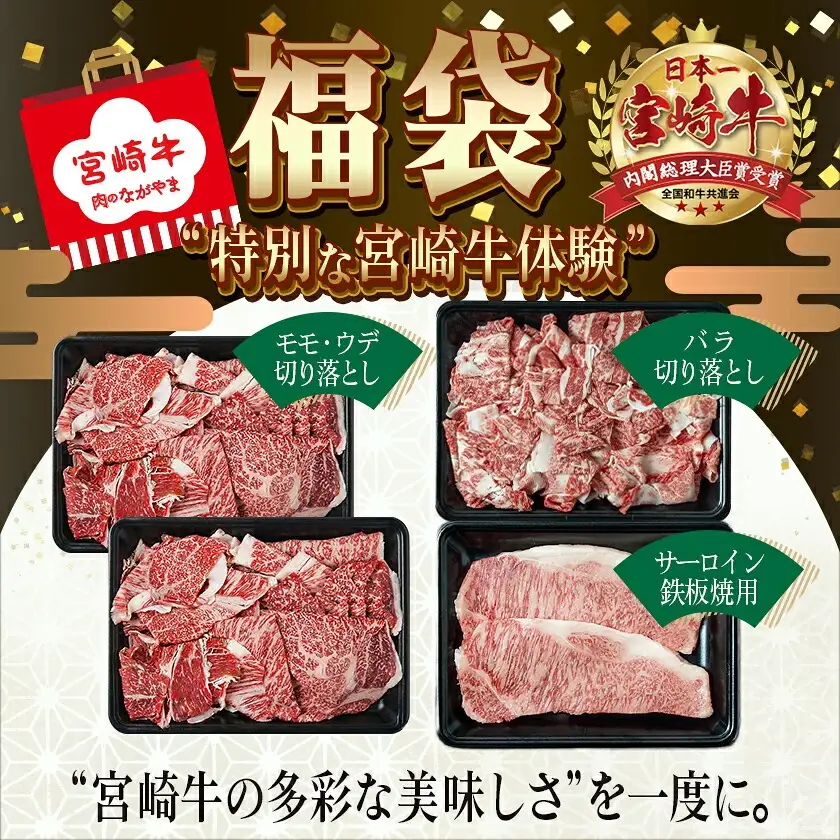 【元気モリモリ福袋】宮崎牛切り落とし・鉄板焼き用サーロイン2枚セット〔AE-2501〕_(都城市) A4 4等級 牛肉 牛バラ切り落とし肉 牛ウデ・牛モモ切り落とし肉 各500g