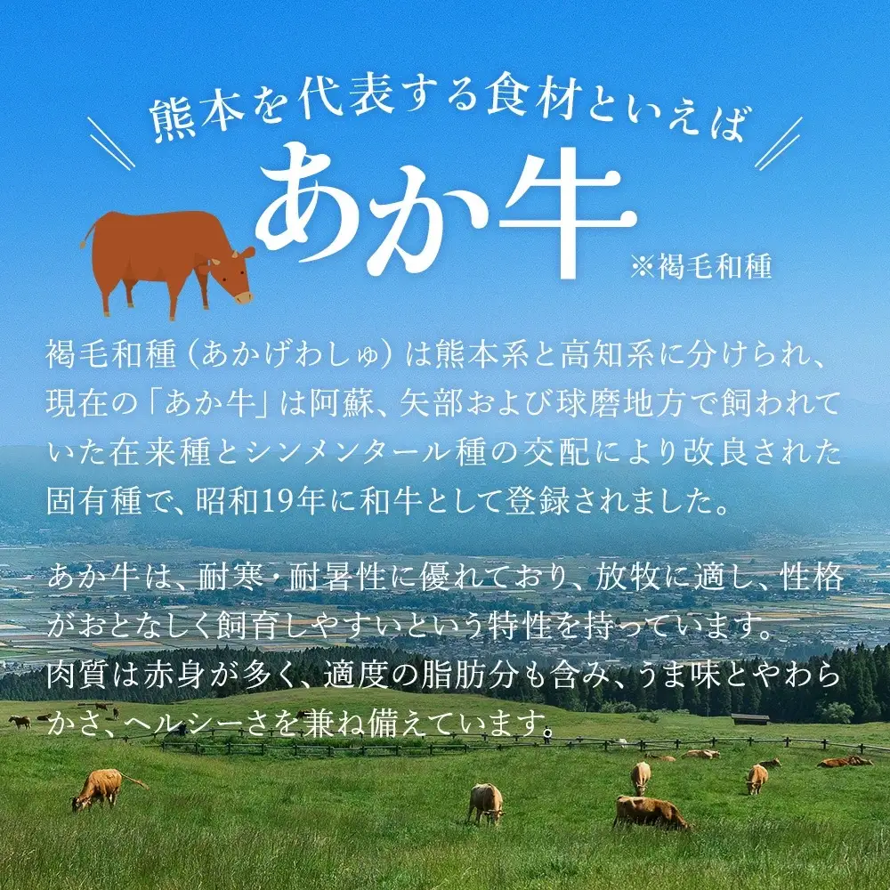 【阿蘇牧場】熊本県産あか牛ハンバーグ 150g×10個 計1.5kg 1500g 褐毛和種 赤牛 和牛100％ 大判 和牛ハンバーグ 小分け 個包装 焼くだけ簡単 冷凍 熊本 阿蘇 小国町 ふるさと納税