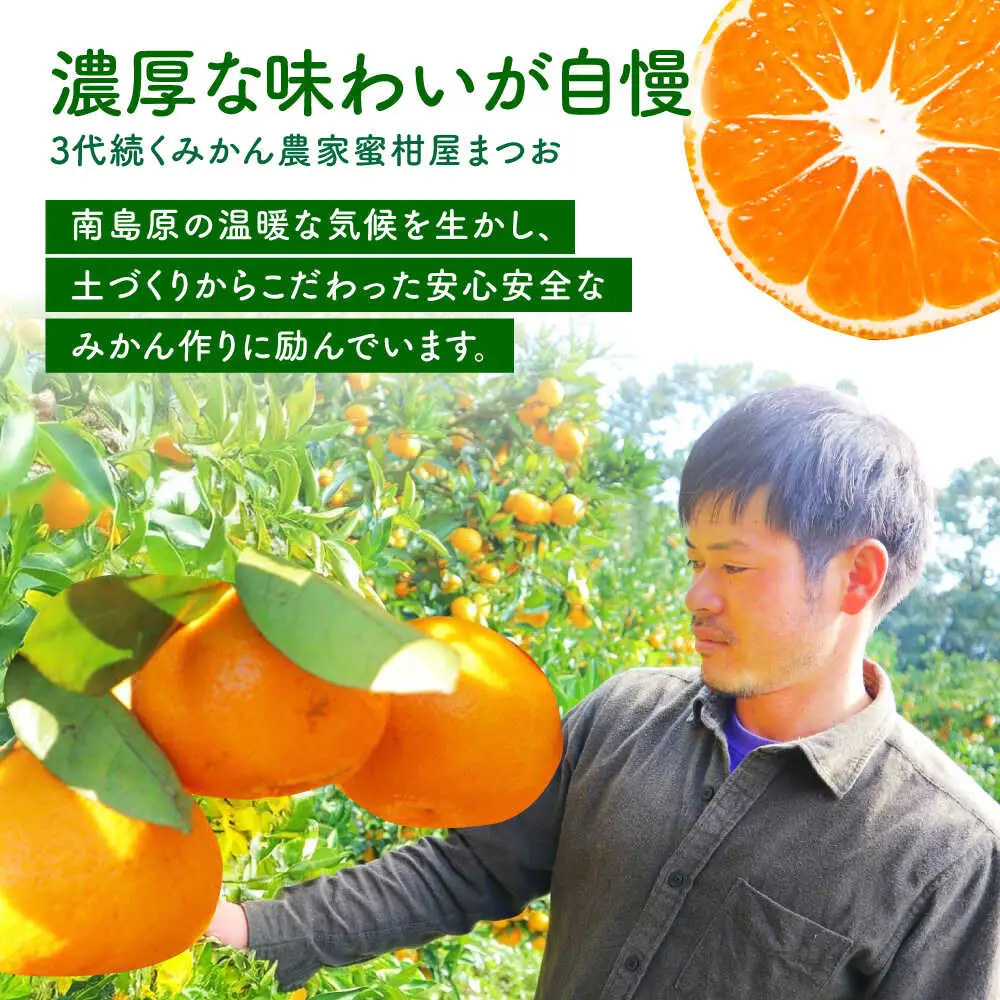 【2026年10月下旬-発送】温州みかん 5kg 南島原市 [SCQ001] みかん