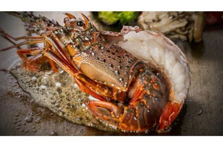 紹介制鉄板焼 つきじ よつは 特産品貸し切りディナーコース 2名様（寄附申込月の翌月から6ヶ月間有効・30組限定） ふるなび美食体験 FN-Gourmet343647