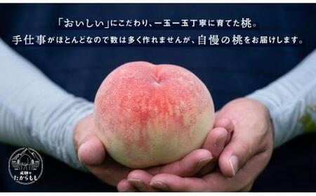 桃 飛騨のたからもも GH004 桃