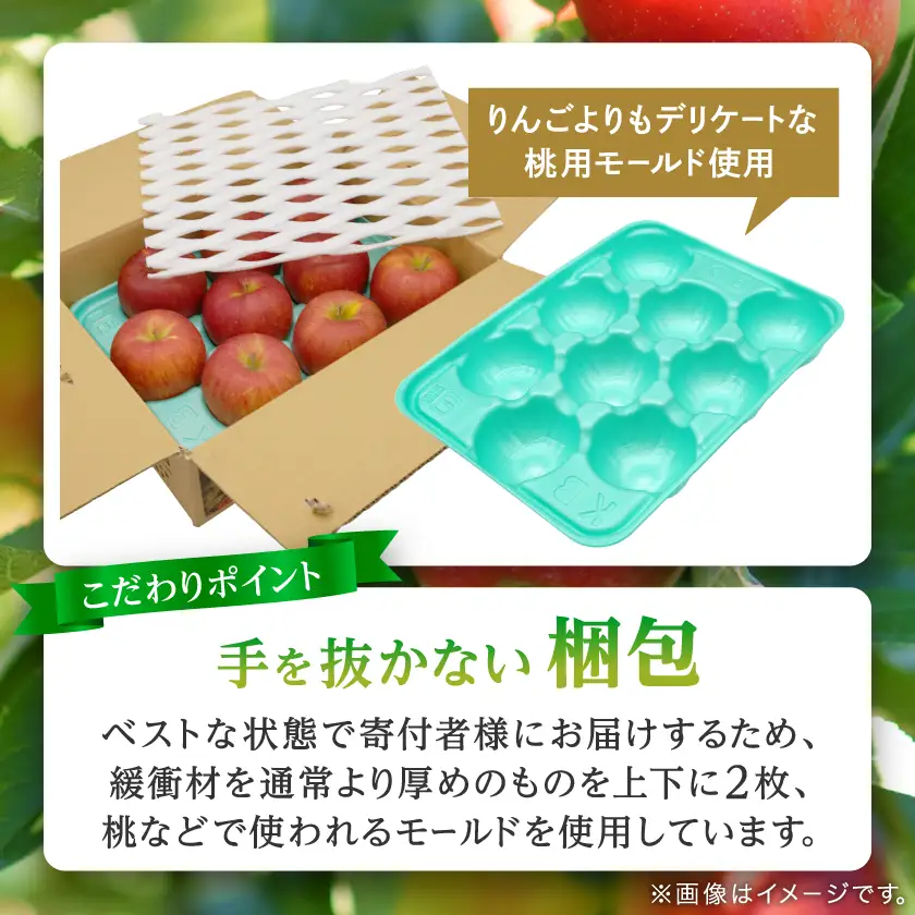 【りんご品評会最高賞】大玉 約5kg 糖度14度以上保証 訳あり 家庭用 りんご 「サンふじ」_果物・フルーツ りんご  リンゴ 林檎_【配送不可地域：離島】【1111237】