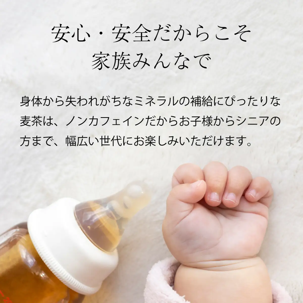 【定期便12ヶ月】おいしい麦茶600ml×24本（お茶）［お茶］ FN-Limited-PR