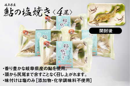 鮎の塩焼き 4尾 鮎 飛騨市 [CA008]
