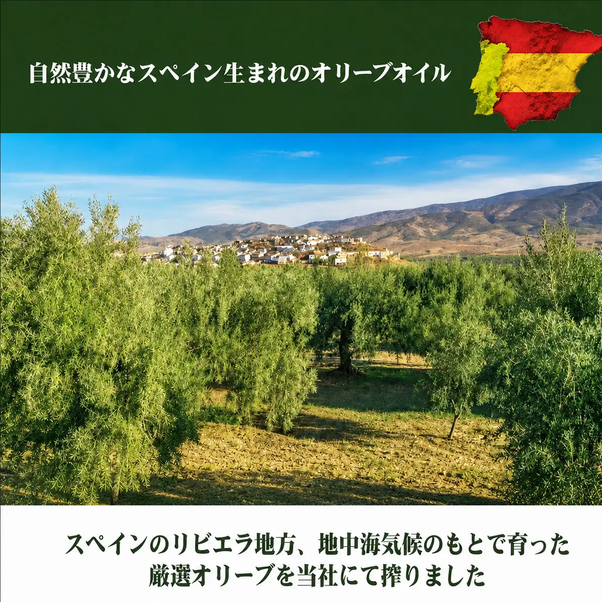 【 小豆島 】 エキストラバージン オリーブオイル 200ml 5本 セット ギフト 贈答用 詰め合わせ 食用油 パスタ サラダ ドレッシング 揚げ物 調味料 スペイン 土庄町