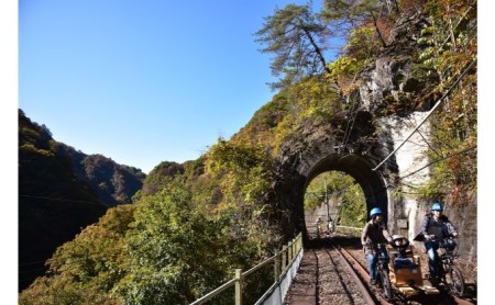 体験　自転車型トロッコ「アガッタン」優待券2枚 体験チケット 