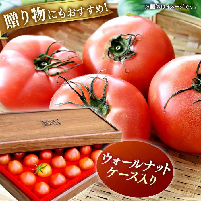 【先行予約】プレミアム徳谷トマト約1kg 24個入り 生産者52番 (ウォールナットケース入り) 〈2027年1月中旬～2027年5月下旬頃発送〉/ フルーツトマト とまと フルーツ 果物 季節もの 【フルーツショップオザキ】[ATAH001]