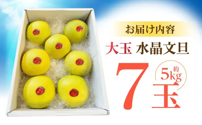 【先行予約】 南国土佐の女王柑橘 水晶文旦 約5kg 7玉入り〈2026年9月中旬〜2026年12月中旬頃発送〉/ 大玉サイズ ぶんたん 文旦 5kg 5キロ フルーツ 高知 名物 果物 柑橘 【フルーツショップオザキ】[ATAH010]