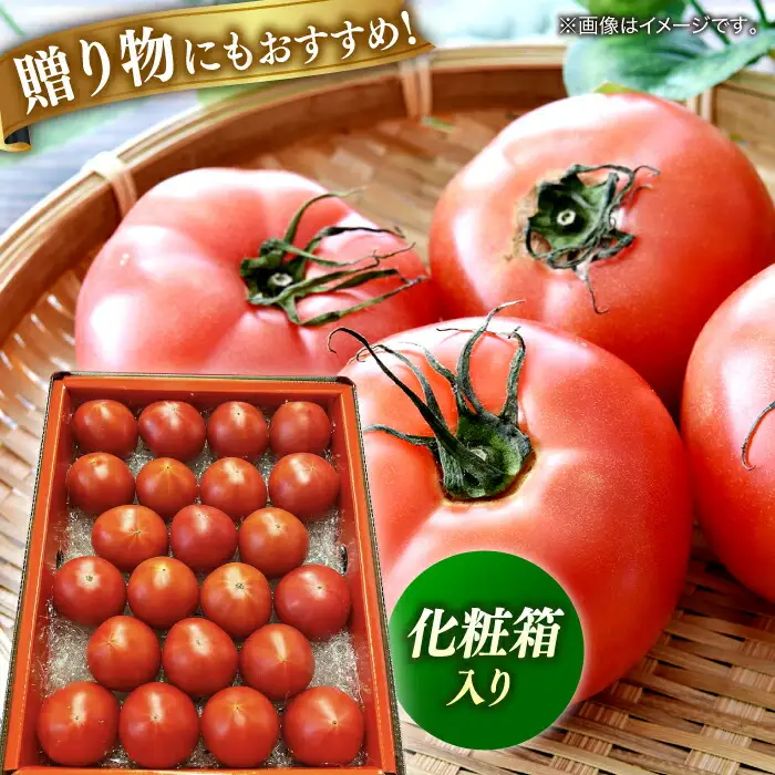 【先行予約】特選 徳谷トマト 約2kg 生産者52番 〈2027年1月中旬～2027年6月下旬頃発送〉/ トマト フルーツトマト 【フルーツショップオザキ】[ATAH014]