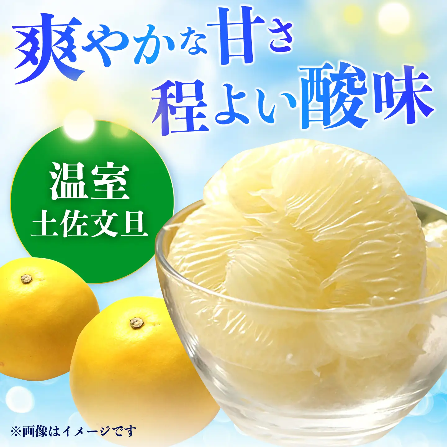 【先行予約】 南国高知温室土佐文旦 約5kg 7玉〈2026年11月中旬〜2027年2月中旬頃発送〉/ 文旦 ぶんたん 5kg 5キロ 温室 果物 フルーツ デザート 柑橘 南国 土佐 高知 名物 名産  【フルーツショップオザキ】[ATAH016]