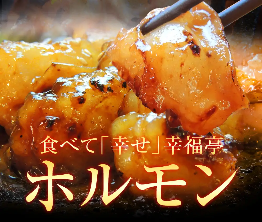 中トロホルモン 西京味噌焼き 600g (100g×6)  ホルモン