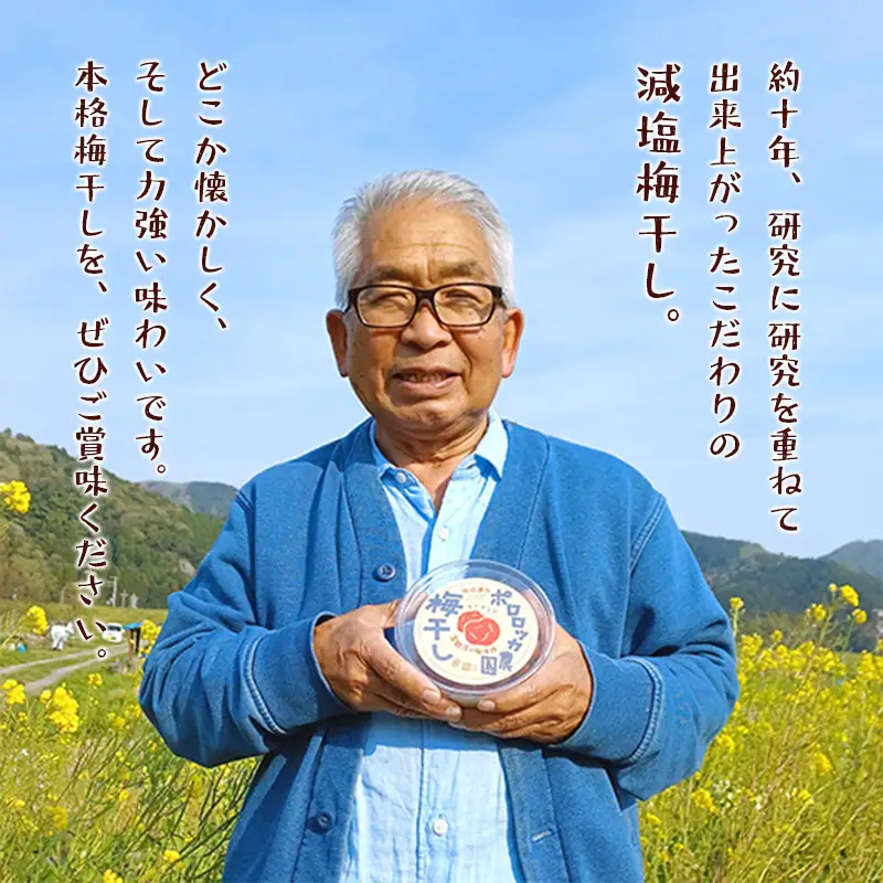 無添加 梅干し 減塩 小分け 1.5kg 梅干し