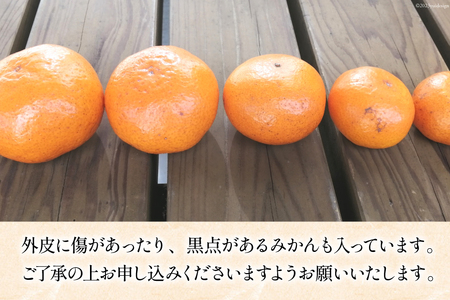 【期間限定発送】 みかん 訳あり 日向ひまわり 石地みかん 2S ～ L サイズ 5kg