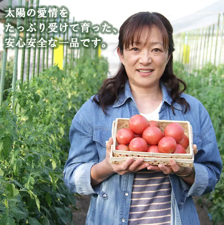先行受付【野菜ソムリエが育てた】うしの恵 フルーツトマト 約2kg 野菜 香南市 完熟フルーツトマト mj-0028