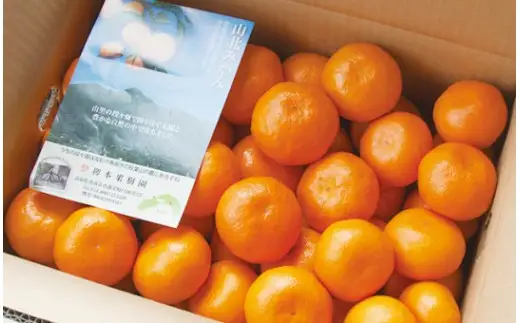 【令和8年発送】柳本果樹園の山北みかん 約3kg（露地・2S〜Mサイズ）みかん yg-0033