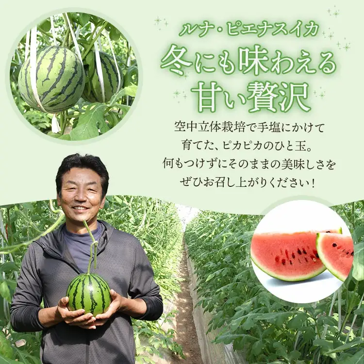フルーツセット 計2玉 フルーツ エメラルドメロン ルナ・ピエナスイカ yu-0071