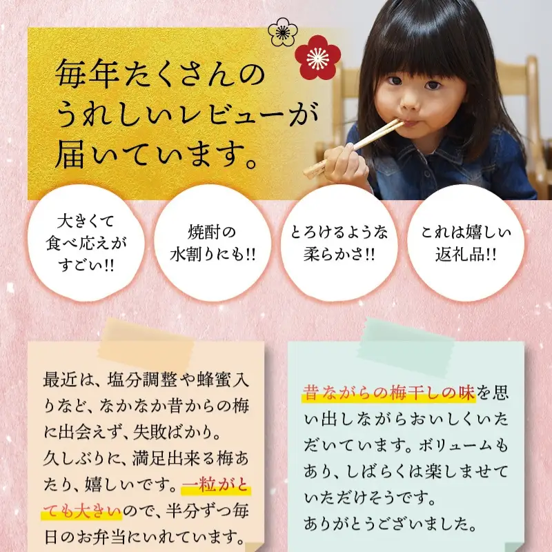 梅干し しそ風味梅干し 1.4kg【ご家庭用】【inm200C】