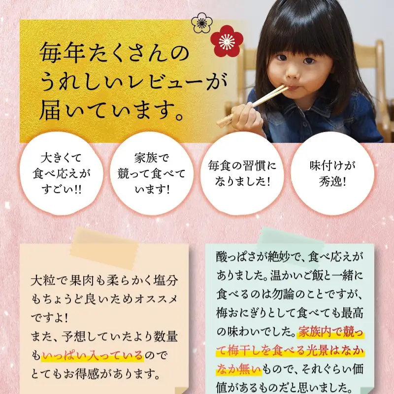 最高級紀州南高梅・大粒うす味梅干し 1.4kg【ご家庭用】【inm300C】